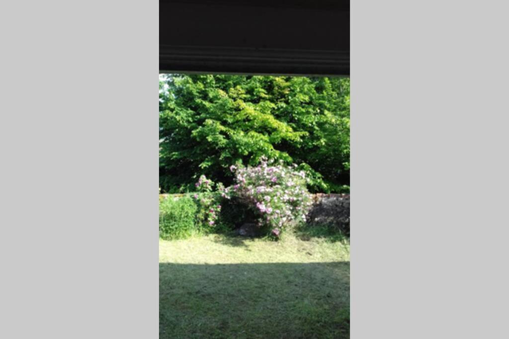 فيلا Jardin De Cure كلوني المظهر الخارجي الصورة